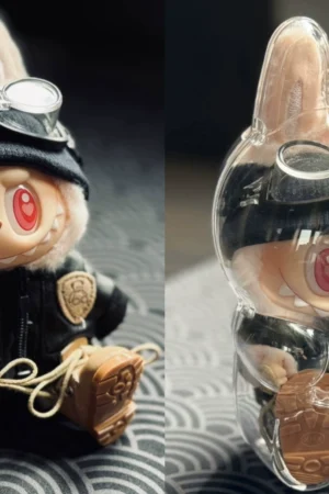 Labubu Accessories – Transparent Acrylic Protective Shell | nekolulu