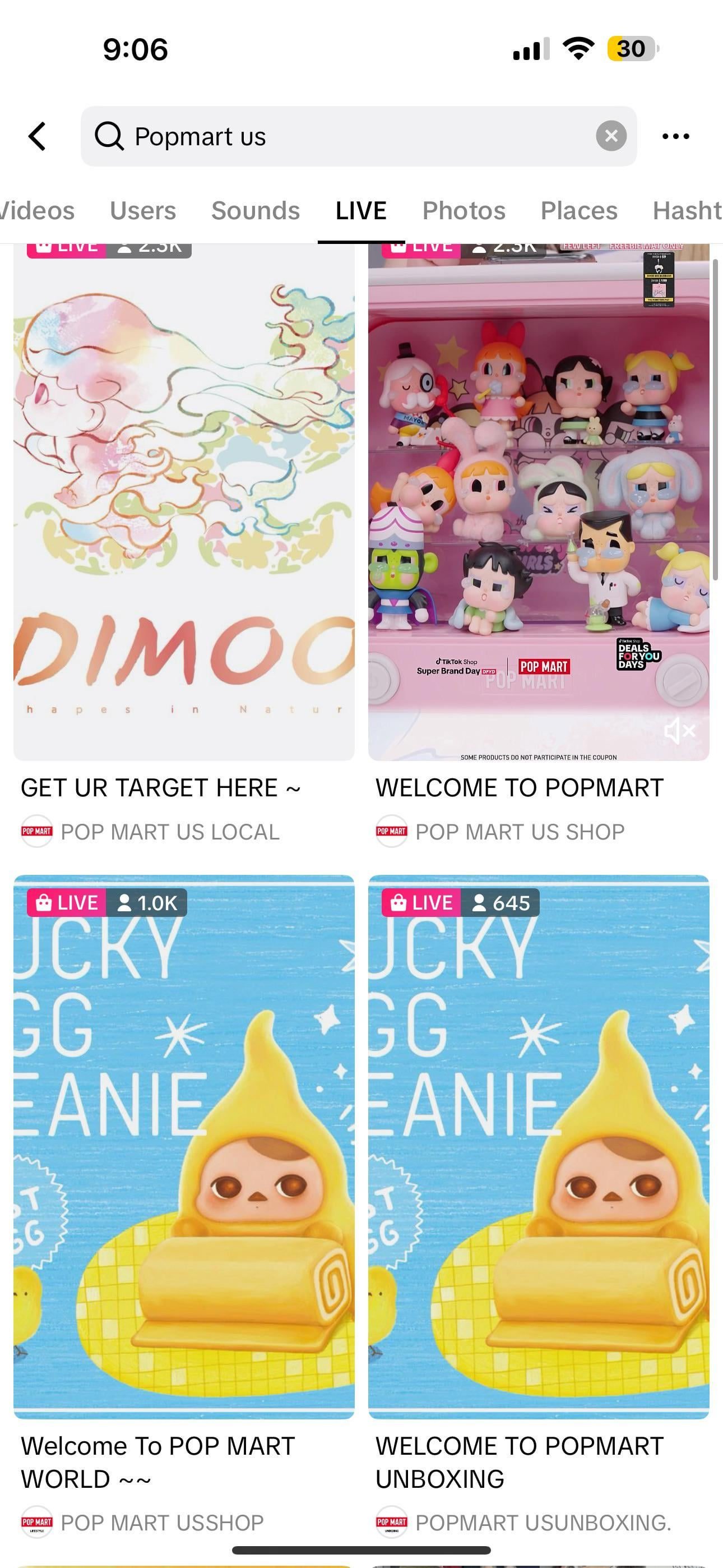 Labubu DIY Community Reddit Guide Professional Tips